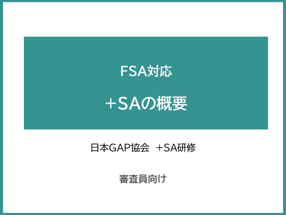 ＋SA審査員研修