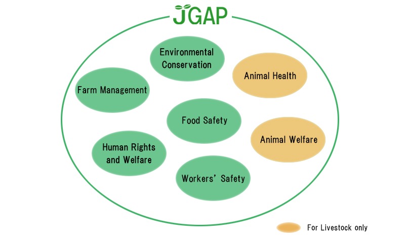 Difference Between Asiagap And Jgap Japan Gap Foundation